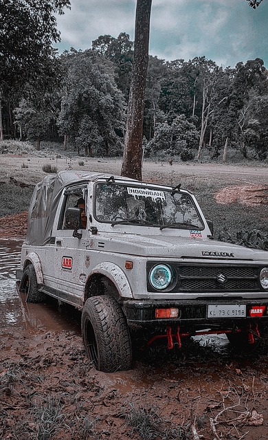 乐部后的评 乐部后的评