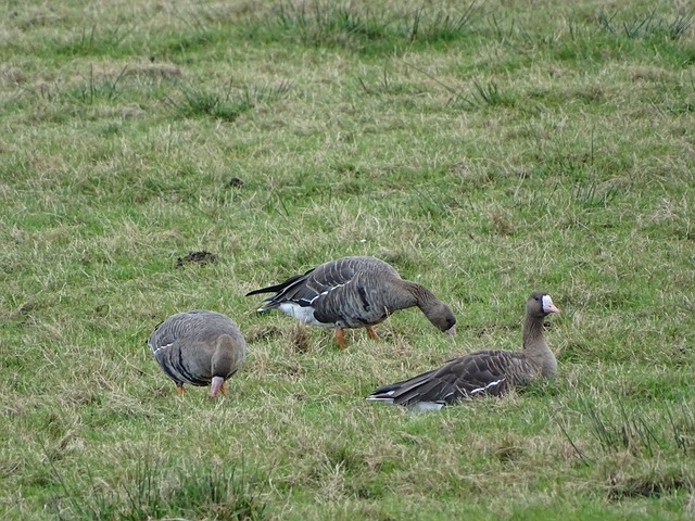 运输成本的 运输成本的