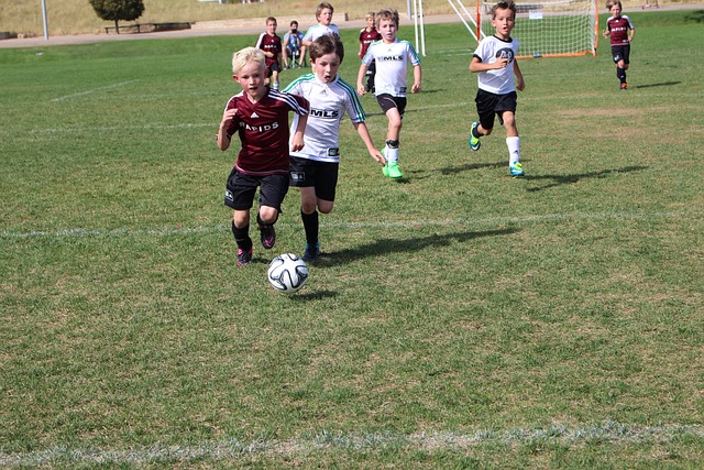 呈现了英超 呈现了英超