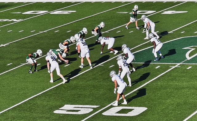 备力量的培 备力量的培